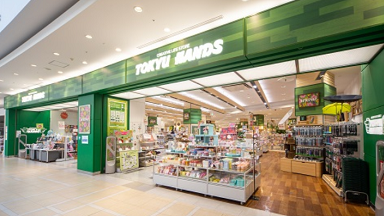 �}�L�A���C�x�� ���}�n���Y